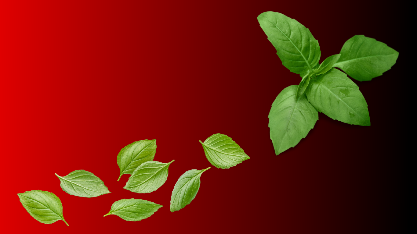 Indian Spices Background