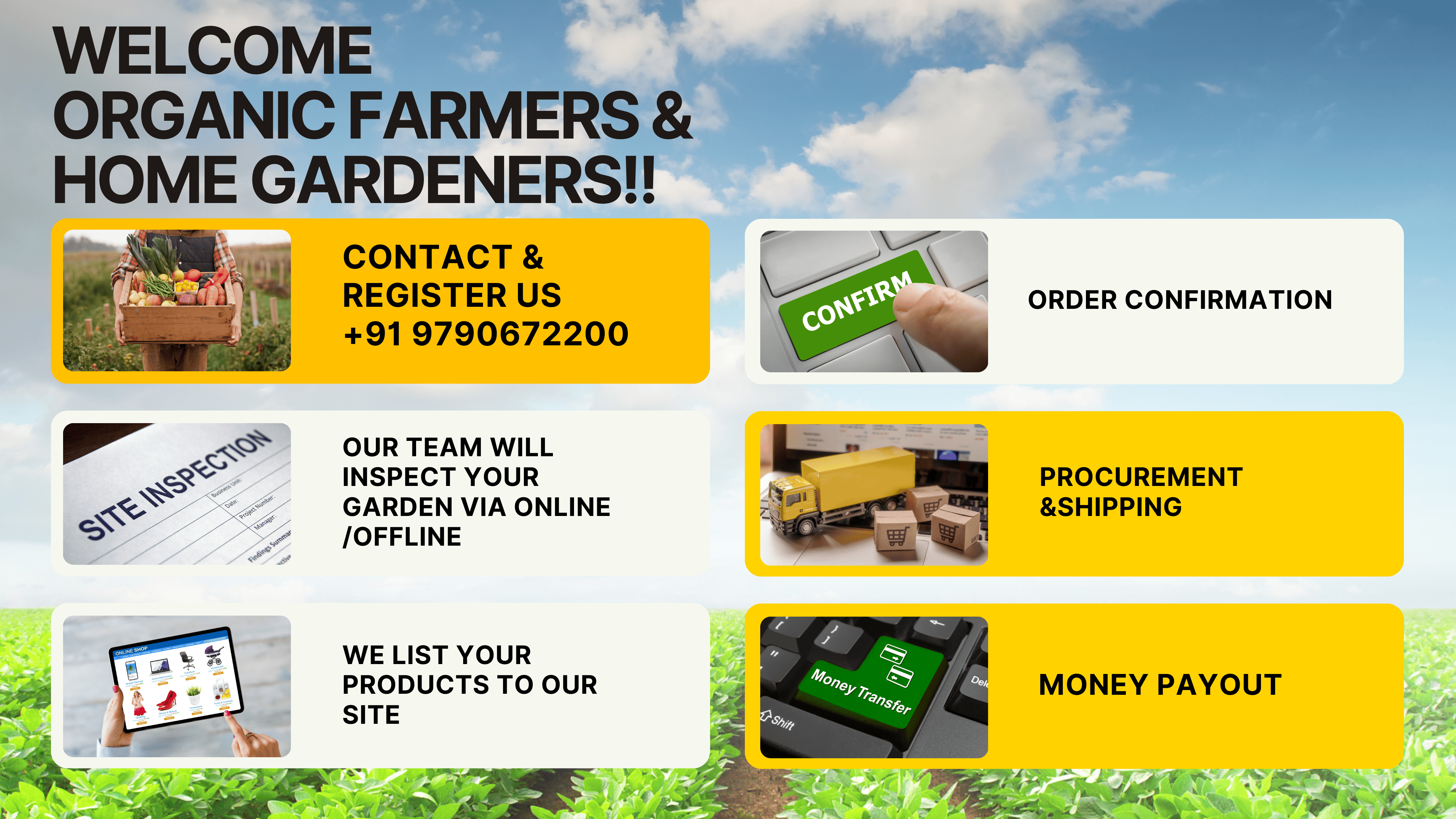 Premium Quality Assurance